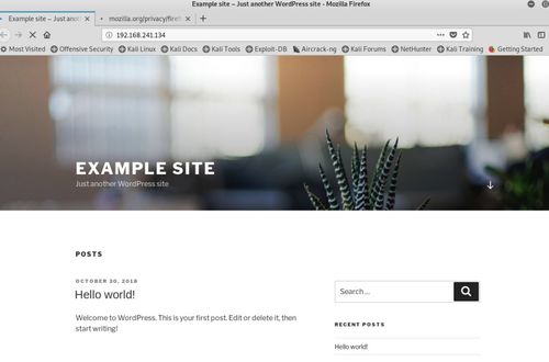 網(wǎng)絡(luò)滲透測試實驗4