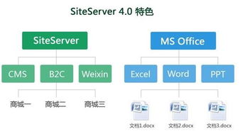 未來互聯(lián)網產品 siteserver4.0隆重上市