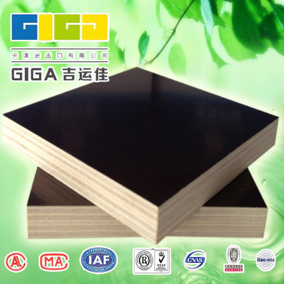 供應東北沈陽建筑模板金亨建筑模板廠 沈陽建筑模板廠家直銷13502087050圖片_高清圖_細節(jié)圖